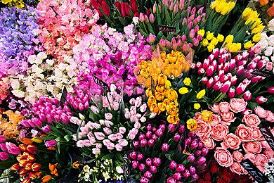 《铲子骑士》开发商将于大年初一清晨举行发布会